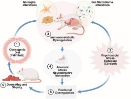 Early-life obesogenic environment integrates immunometabolic and epigenetic signatures governing neuroinflammation