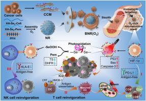 Biomimetic polymeric nanoreactors with photooxidation-initiated therapies and reinvigoration of antigen-dependent and antigen-free immunity