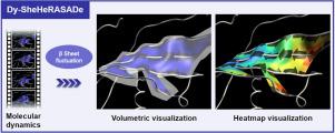 Dy-SheHeRASADe: A representation of the β sheet dynamics through surface descriptors