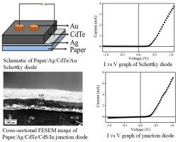 Realization of diode structures on paper: An example of papertronics