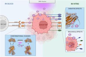 Effect of plasma-induced oxidation on NK cell immune checkpoint ligands: A computational-experimental approach