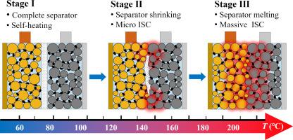 A modeling approach for lithium-ion battery thermal runaway from the perspective of separator shrinkage characteristics