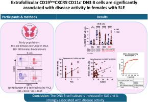 Extrafollicular CD19lowCXCR5−CD11c− double negative 3 (DN3) B cells are significantly associated with disease activity in females with systemic lupus erythematosus