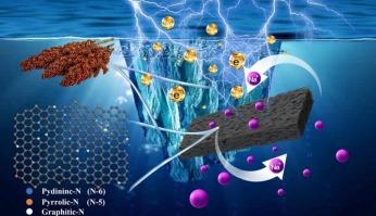 Self-doped porous sorghum husk-derived carbon as anode for high performance sodium-ion batteries at low temperatures