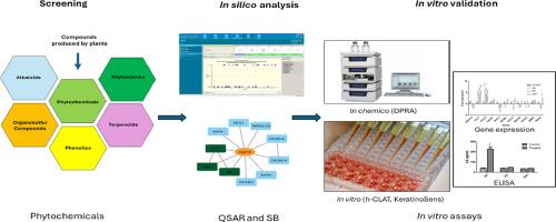 An integrated In-Silico-In-Chemico-In-Vitro (iSiCiV) Approach to identify biomarkers to predict the skin sensitisation potential of phytochemicals