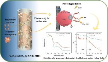 Selective adsorption and photodegradation of salicylic acid by a novel magnetic molecularly imprinted mesoporous TiO2 co-doped with silver nanoparticles and carbon nanotubes (Fe3O4@mTiO2-Ag-CNTs-MIPs) under visible light