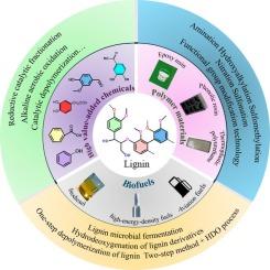 Recent advances, challenges, and opportunities in lignin valorization for value-Added chemicals, biofuels, and polymeric materials