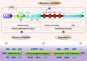 Opportunities and challenges for targeting HPK1 in cancer immunotherapy