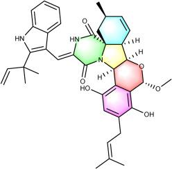 Chevalierlin: A spirocyclic alkaloid from a hydrothermal vent associated fungus Aspergillus chevalieri TW132-65