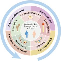 An updated overview of the search for biomarkers of osteoporosis based on human proteomics