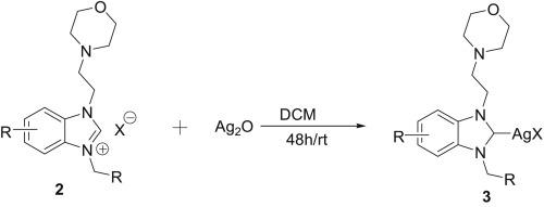 Novel Nonsymmetrically benzimidazolium salts and their silver(I)-N-heterocyclic carbene complexes: Synthesis, crystal structure, DFTstudies and anticancer activities