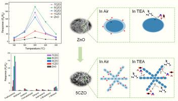 Coral-like Co-doped ZnO nanostructures for enhanced triethylamine detection