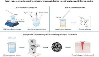 Smart copper-doped clays in biomimetic microparticles for wound healing and infection control