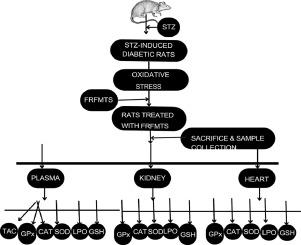 Flavonoid-rich fraction of Monodora tenuifolia Benth seeds improves antioxidant status in male Wistar rats with streptozotocin-induced Diabetes mellitus