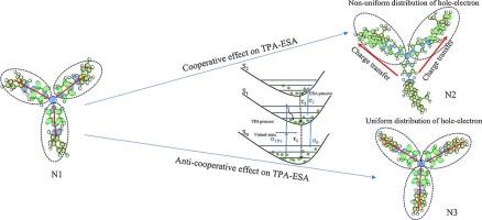 Study of Two-Photon induced excited state absorption of Three-Branched triphenylamine Derivatives: Cooperative and Anti-Cooperative effect of electron transition in the excited state