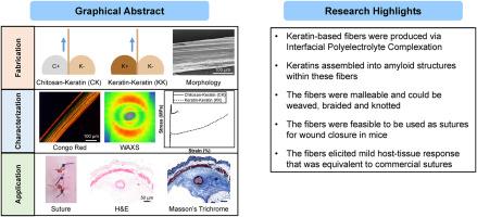 Development of keratin-based fibers fabricated by interfacial polyelectrolyte complexation for suture applications