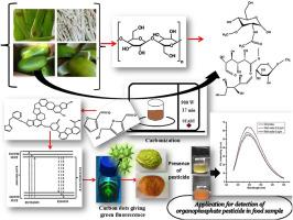 Green florescent carbon dots synthesized from various household green wastes for detection of parathion methyl pesticide