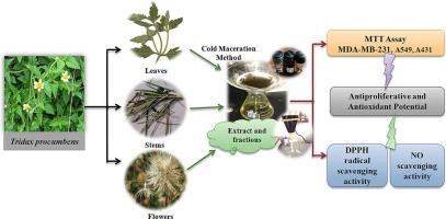 Antiproliferative and antioxidant potential of Tridax procumbens extracts against various human cancer cell lines: An insight for medicines from weeds