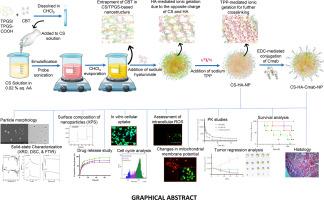 Cetuximab functionalized chitosan/hyaluronic acid-based nanoparticles loaded with cabazitaxel enhances anti-tumor efficacy in DMBA-induced breast cancer model in rats through spatial targeting