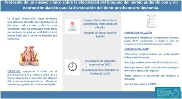 Protocolo de un ensayo clínico sobre la efectividad del bloqueo del nervio pudendo con y sin neuroestimulación para la disminución del dolor posthemorroidectomía