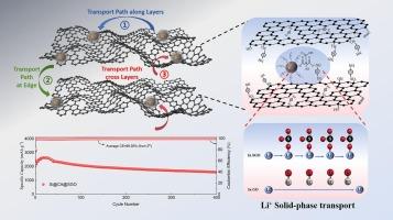 A novel two-dimensional binder based on functionalized-graphene oxide for high performance Si anodes of Li ion batteries