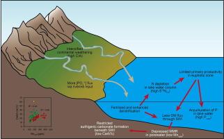 Recognizing microbial manganese reduction in lacustrine carbonate and its linkage to terrestrial biogeochemical processes