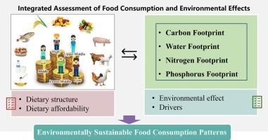 Income-based environmental effects of family food consumption and the affordability towards healthy diets