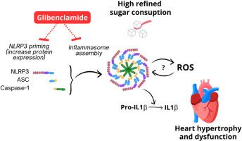 Glibenclamide reverses cardiac damage and NLRP3 inflammasome activation associated with a high refined sugar diet