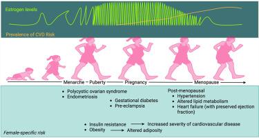 Unique cardiometabolic factors in women that contribute to modified cardiovascular disease risk