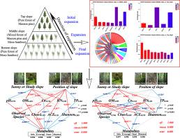 Dynamic changes of soil metabolite profiles during Moso bamboo (Phyllostachys edulis (Carrière) J. Houz.) expansion into adjacent planted forests in a typical karst river basin, South China