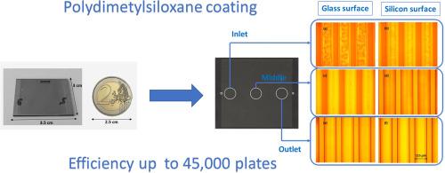 Microchip gas chromatographic columns dedicated for space exploration: Stationary phase coating, setup optimization and evaluation of column performances