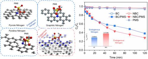 Comparison between endogenous and exogenous nitrogen of nitrogen-doped carbon catalyst in the process of activating PMS