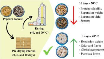 Effects of delayed drying interval and the drying temperature of popcorn on sensory and technological quality