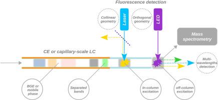 Fluorescence detection setups in capillary electrophoresis and microscale liquid chromatography: Developments over the past decade