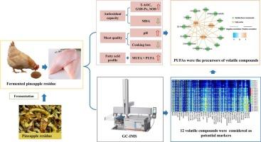 Insight into the chemical composition, antioxidant capacity, meat quality, fatty acid profile, and volatile compounds of yellow-feathered chickens fed with fermented pineapple residue