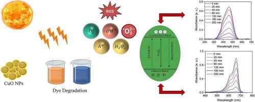 Sunlight-driven degradation of water pollutants using pomegranate-synthesized CuO nanoparticles