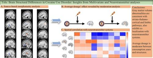 Brain structural differences in cocaine use disorder: Insights from multivariate and neurotransmitter analyses