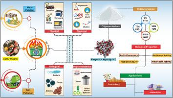 A review on the preparation, characterization, and applications of agro-waste-derived oligosaccharides