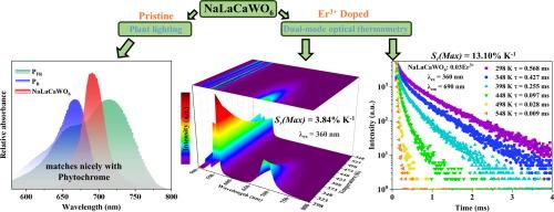 Self deep red luminescence in NaLaCaWO6 double perovskite, properties regulation via Er3+ doping, and applications in favorable optical thermometry with ultra high relative sensitivity and plant lighting