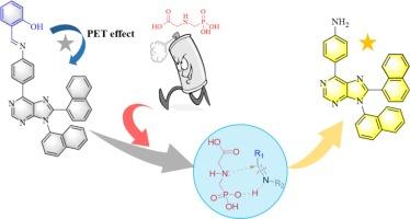 A purine fluorescent derived probe assay for glyphosate and mesotrione via Schiff base cleavage