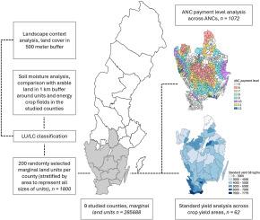 Constraints on the availability of marginal land for bioenergy production in southern Sweden