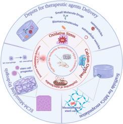 Innovative hydrogel-based therapies for ischemia-reperfusion injury： bridging the gap between pathophysiology and treatment