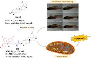 Design, synthesis and antitumor effects of lupeol quaternary phosphonium salt derivatives