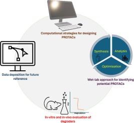 Advances in designing ternary complexes: Integrating in-silico and biochemical methods for PROTAC optimisation in target protein degradation