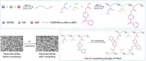 Preparation and performance study of thermo-responsive P(NIPAM-AM-ABP)/keratin composite nanofiber membrane for bio-application