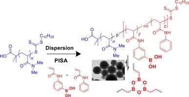 Stimuli-responsive nanoparticles from RAFT dispersion polymerization-induced self-assembly (PISA) of N-phenylacrylamide copolymerized with a boronic acid-substituted derivative