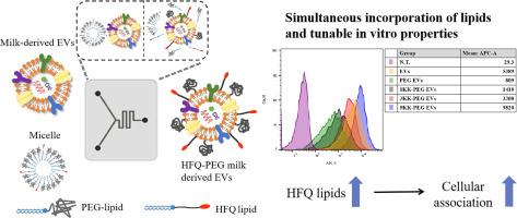 Microfluidic post-insertion of polyethylene glycol lipids and KK or RGD high functionality and quality lipids in milk-derived extracellular vesicles