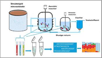 A systematic evaluation of alkaliphilic microbial consortia from a soda lake for the biodegradation of cyanide-rich wastewater