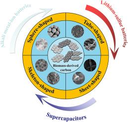 Versatile carbon-based materials from biomass for advanced electrochemical energy storage systems