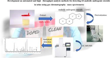 Development an automated and high -throughput analysis methods for detecting 64 anabolic androgenic steroids in urine using gas chromatography-mass spectrometry